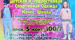 Дордой Восток 5 проход 100/7:1